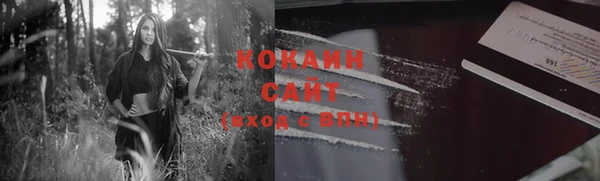 стаф Абинск
