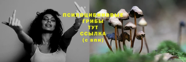 spice Абдулино
