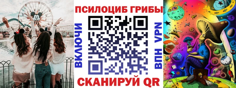 Псилоцибиновые грибы Cubensis  Заволжье 